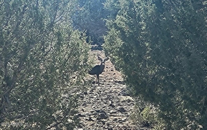 thumbnail_20251106_114635