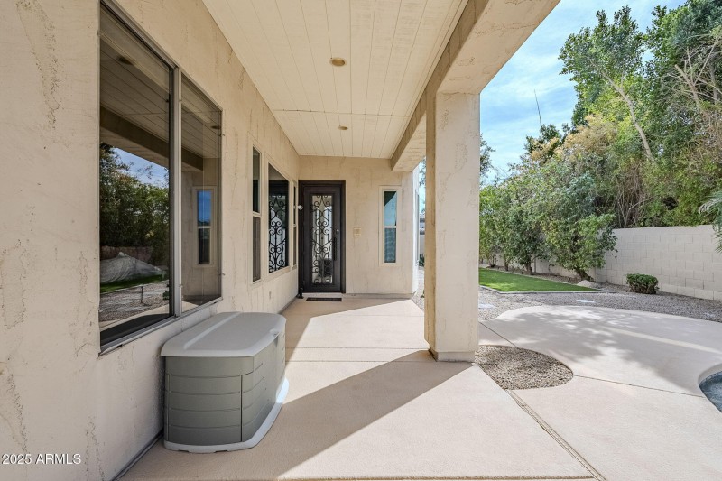 Custom iron back door