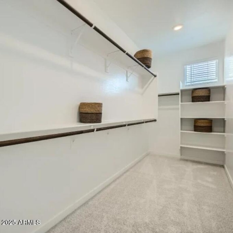 Owners Walk in Closet