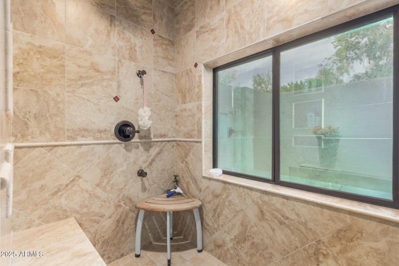 Primary Bath Walk-in Shower