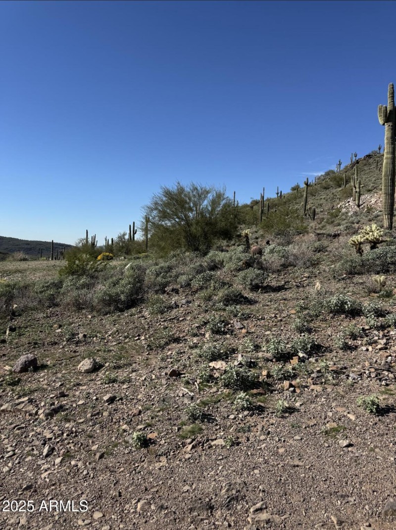 Screenshot 2025-12-24 at 3.48.01PM