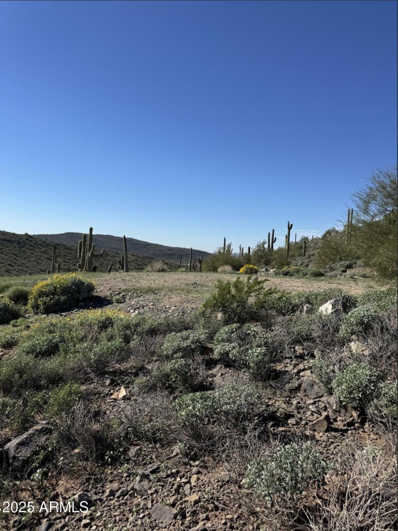 Screenshot 2025-12-24 at 3.47.52PM