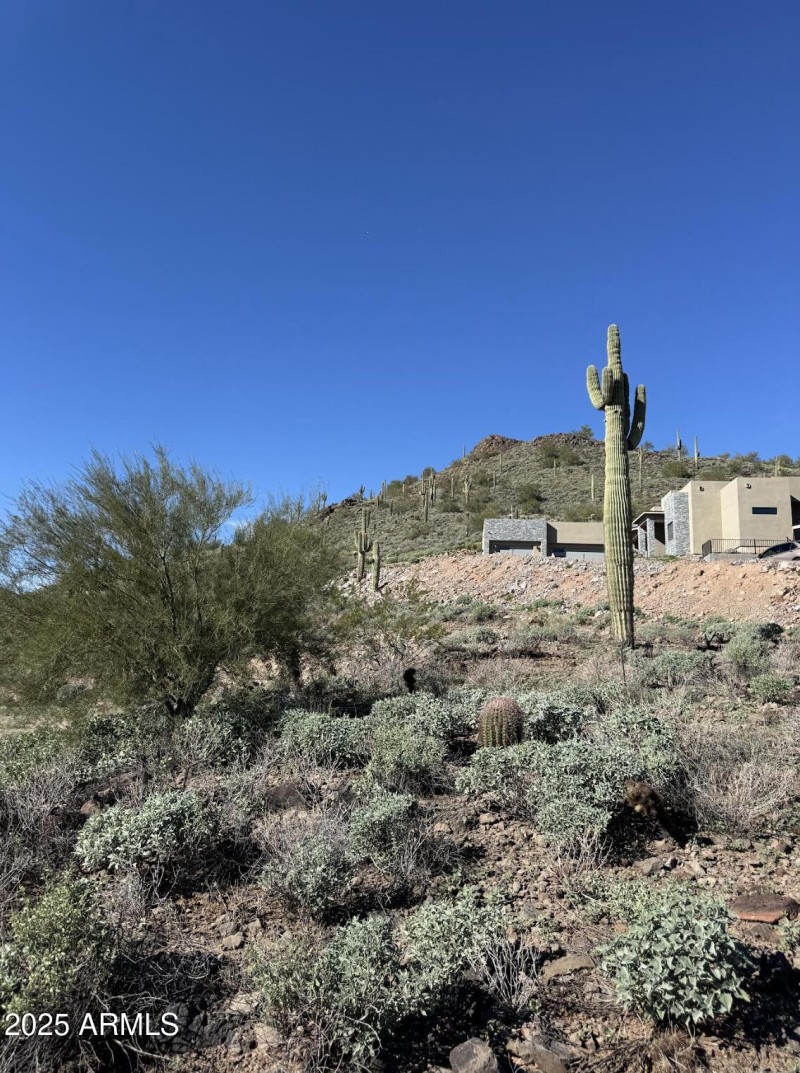 Screenshot 2025-12-24 at 3.47.08PM