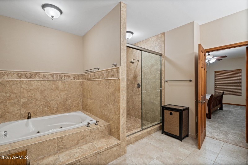 Basement Primary Suite Bathroom