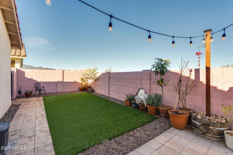 Low Maintenance Artificial Grass