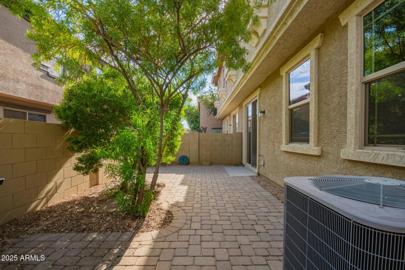 26 Backyard
