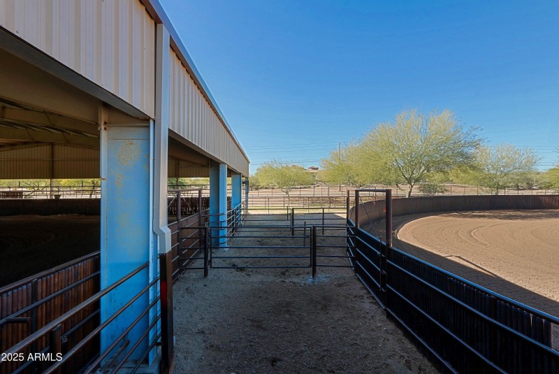 Covered Arena - Holding Area 2