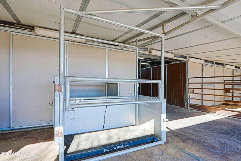 Therapy /Breeding Area