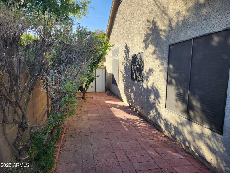 Side yard with a shed