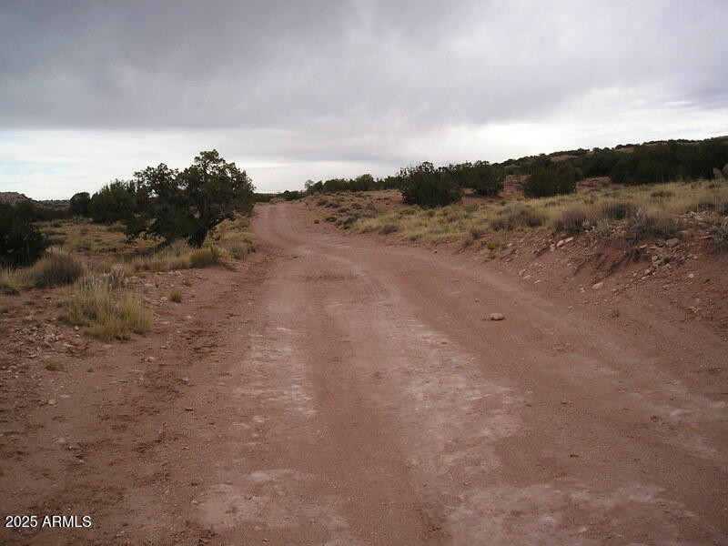 looking west on 81 a