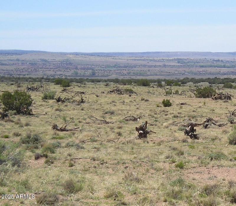 View to the valley : 81 acres