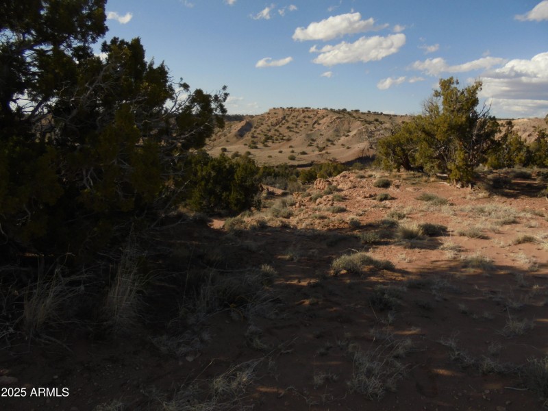 E side of 011 ravine