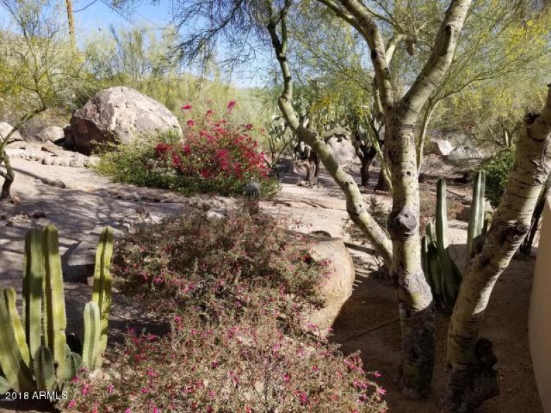 20180425050853366855000000-o