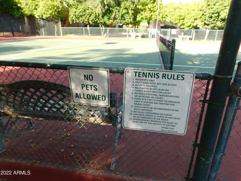 Tennis Ground Rules