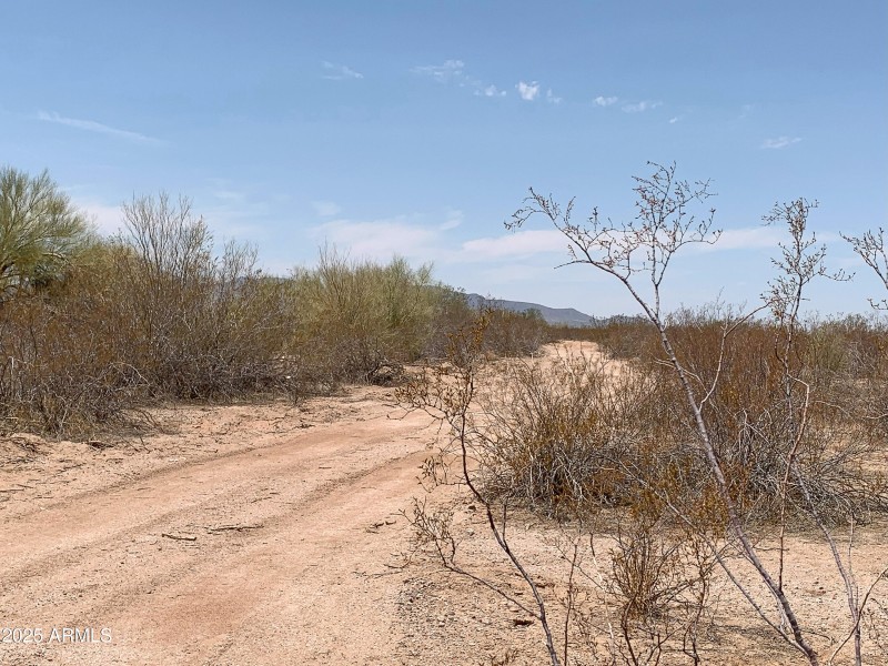 Road has been cut in!