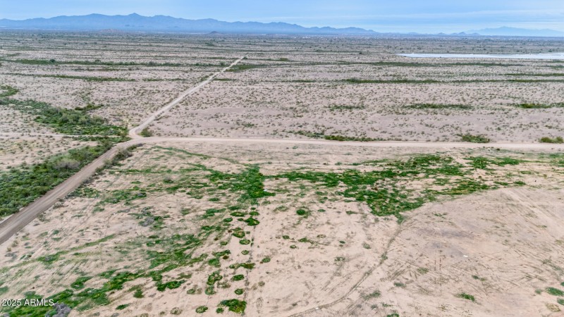 15 - Camelback Drone