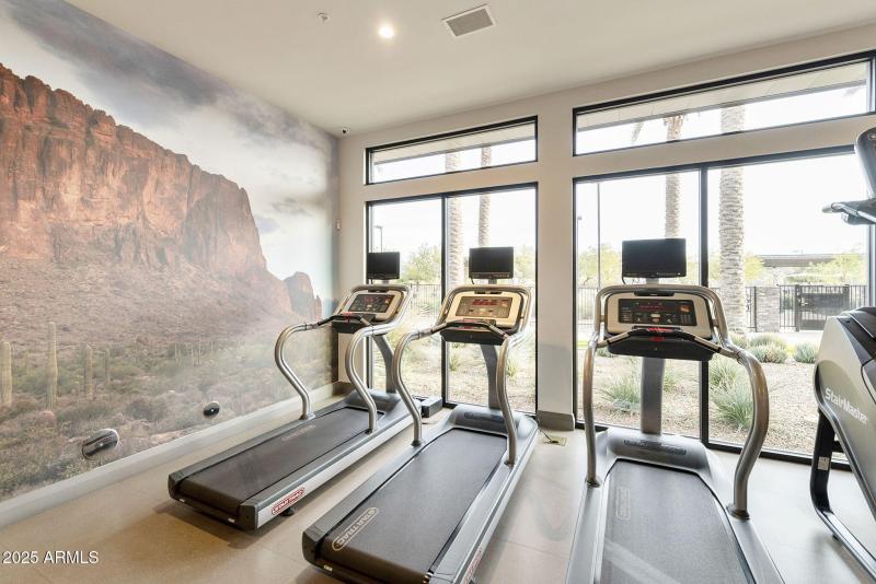 53-web-or-mls-DLB_1387