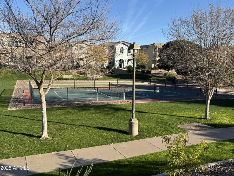 COMMUNITY PICKLEBALL