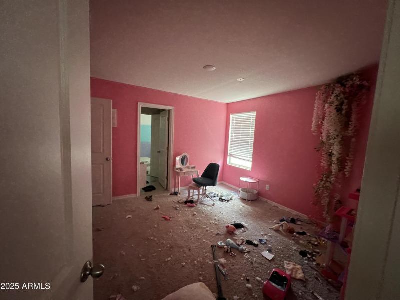 Photo Aug 25 2025, 12 56 36 PM