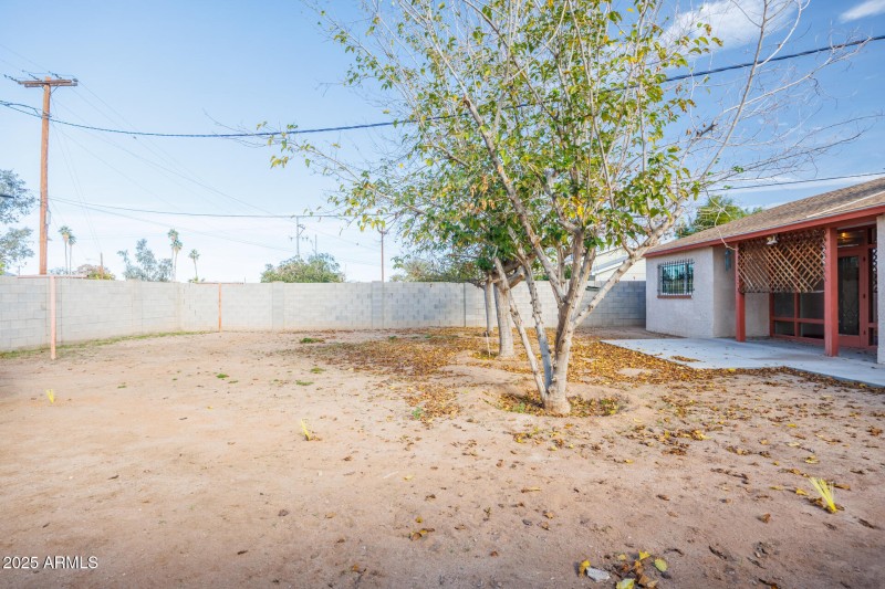 1729 N Lehmberg - Back Yard North