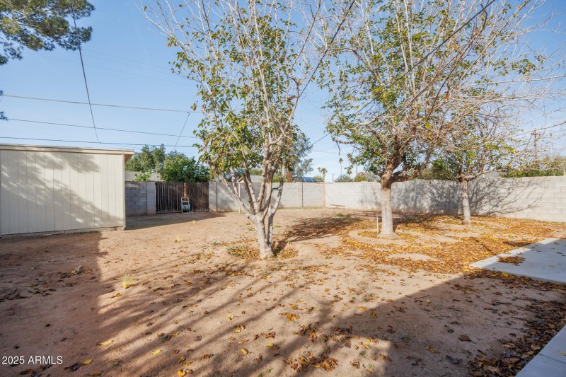 1729 N Lehmberg - Back Yard NW