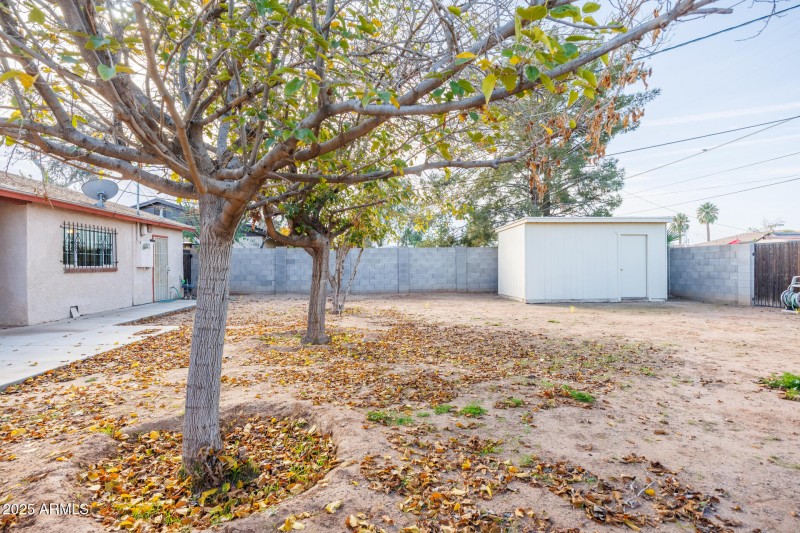 1729 N Lehmberg - Back Yard South