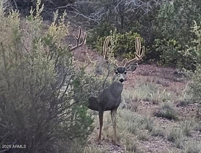 FB_IMG_1765402826326