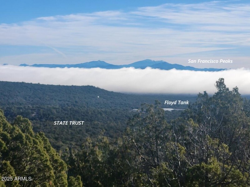 thumbnail_20251228_093119