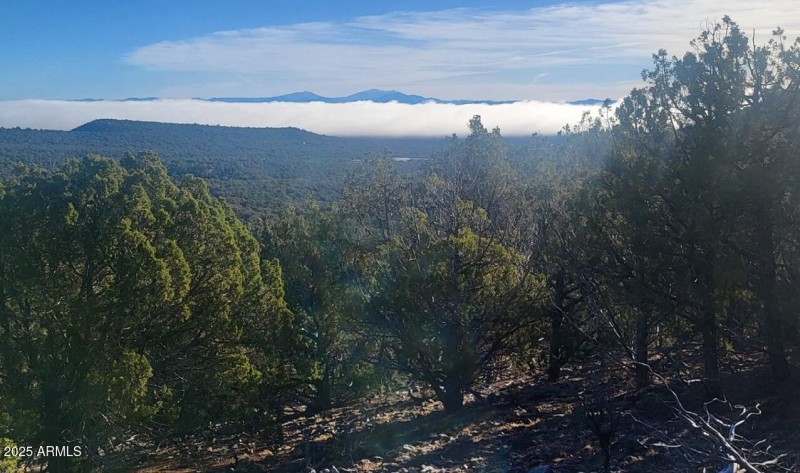 thumbnail_20251228_093137