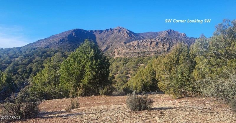 thumbnail_20251228_093539