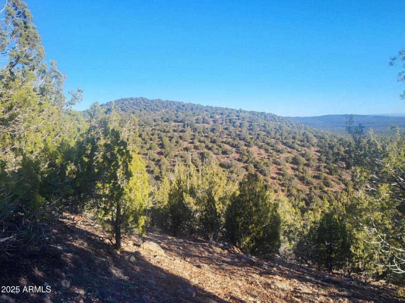 thumbnail_20251228_093621