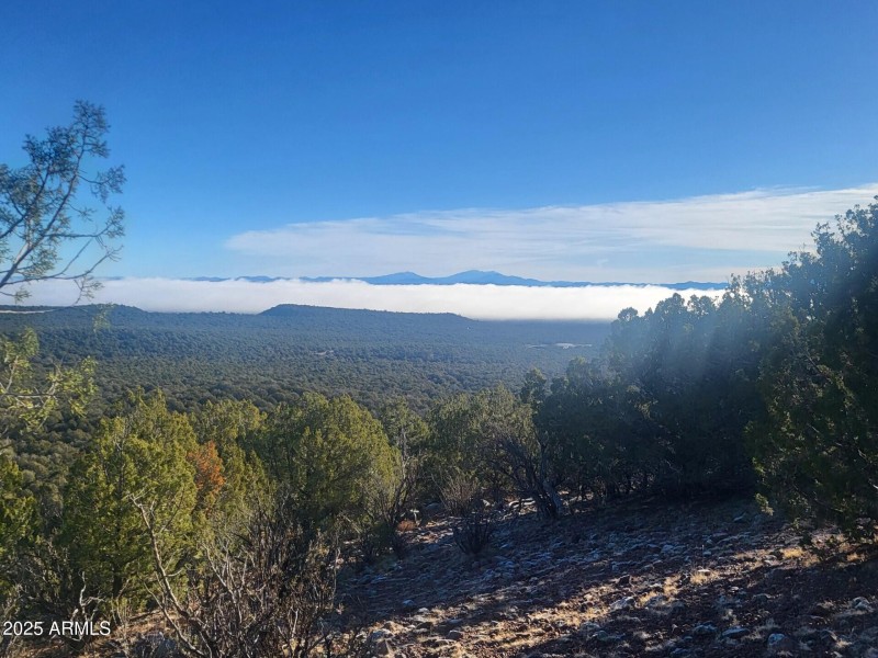 thumbnail_20251228_093638