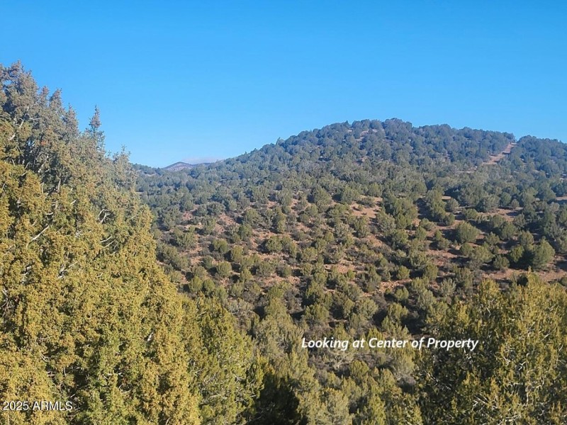 thumbnail_20251228_094048