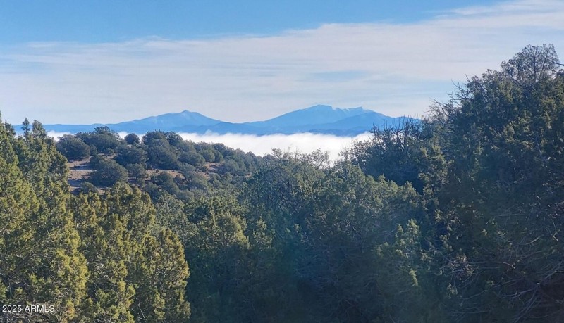 thumbnail_20251228_095129