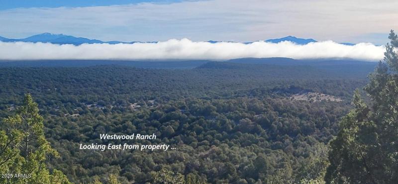 thumbnail_20251228_100926