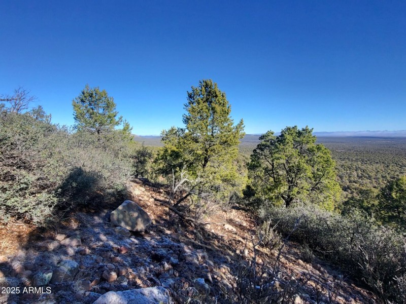 thumbnail_20251228_101022