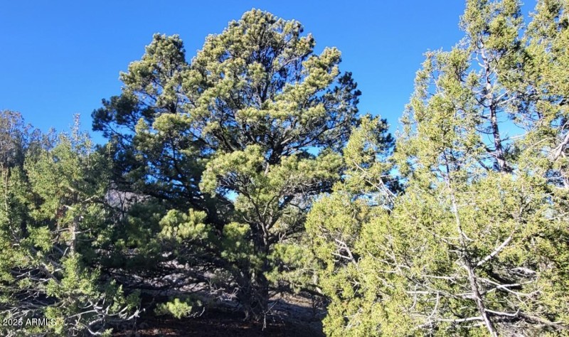 thumbnail_20251228_101447