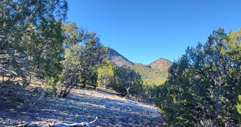 thumbnail_20251228_101516