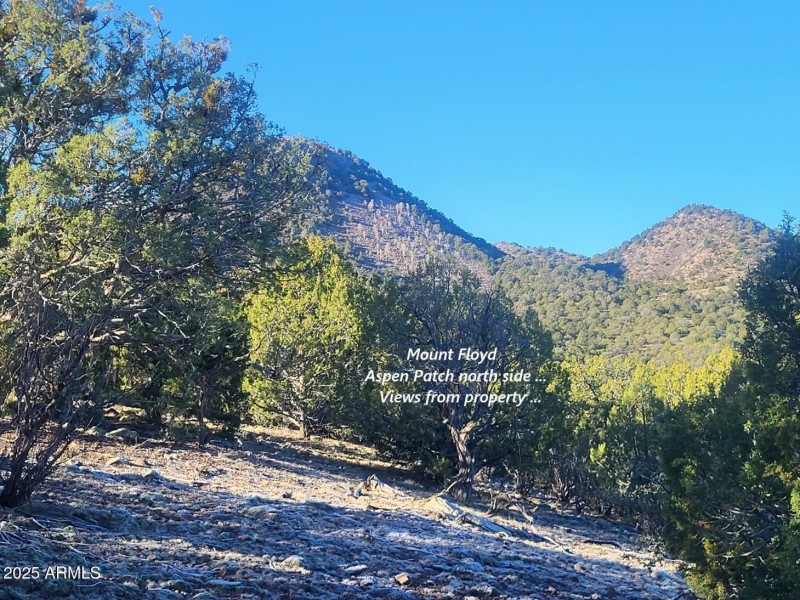 thumbnail_20251228_101522