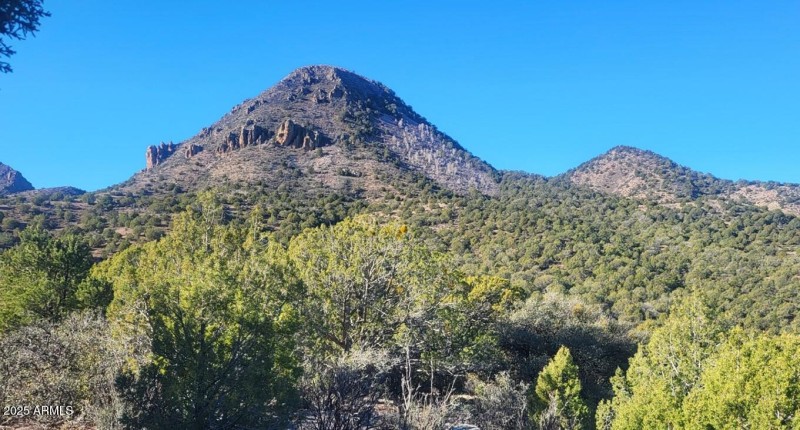 thumbnail_20251228_102240