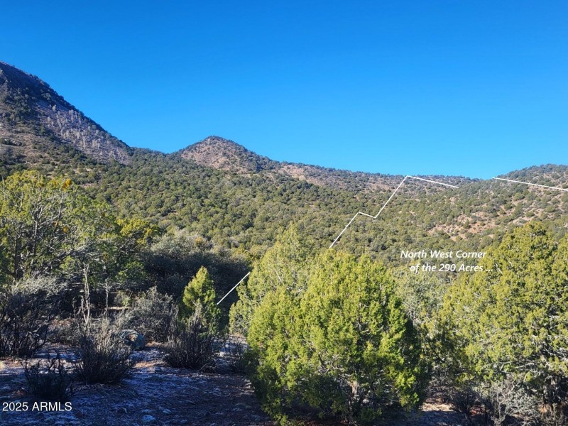 thumbnail_20251228_102252