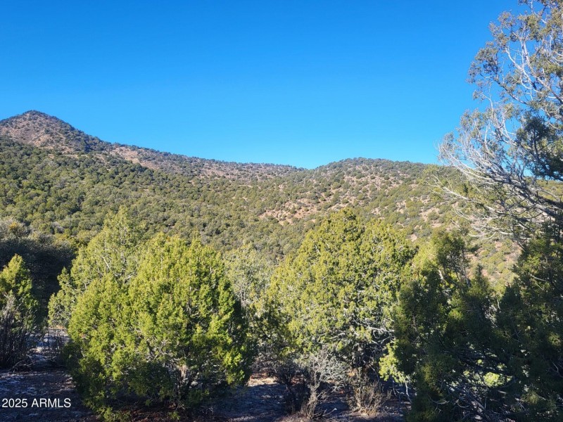 thumbnail_20251228_102255