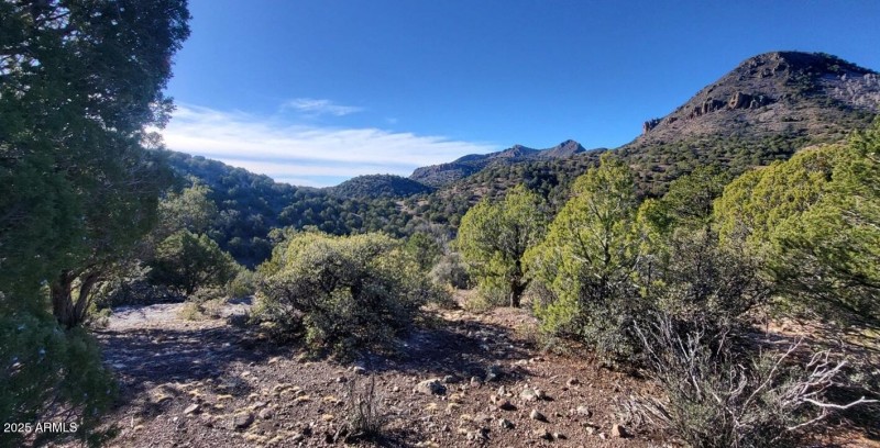 thumbnail_20251228_102428