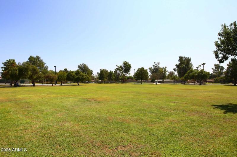 Moon Valley Park (3)