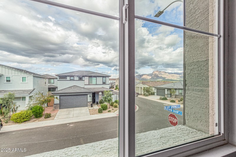 Views from the Primary