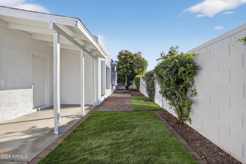 Low-Maintenance Backyard