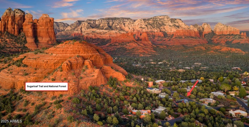 Backing National Forest