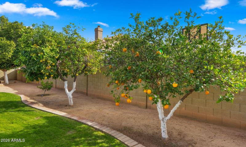 45-web-or-mls-Backyard12