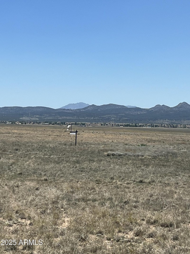 20250614_194534421_iOS