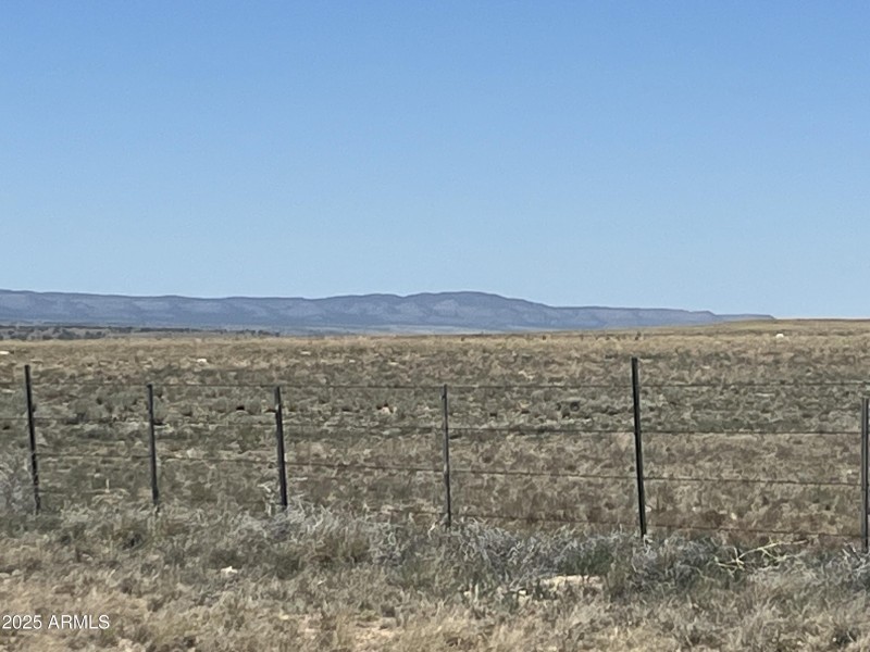 20250614_194603730_iOS